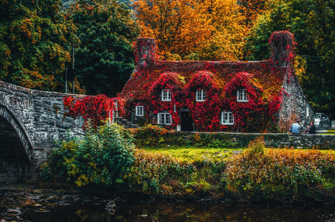 Fall has arrived.