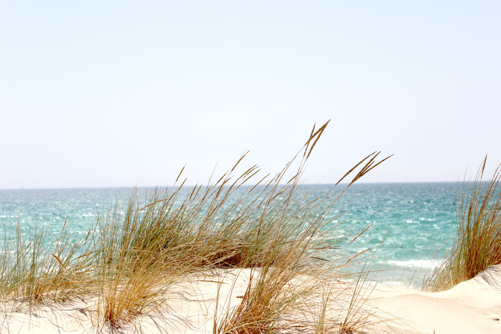 Welcome the Warm Breeze of Summer!